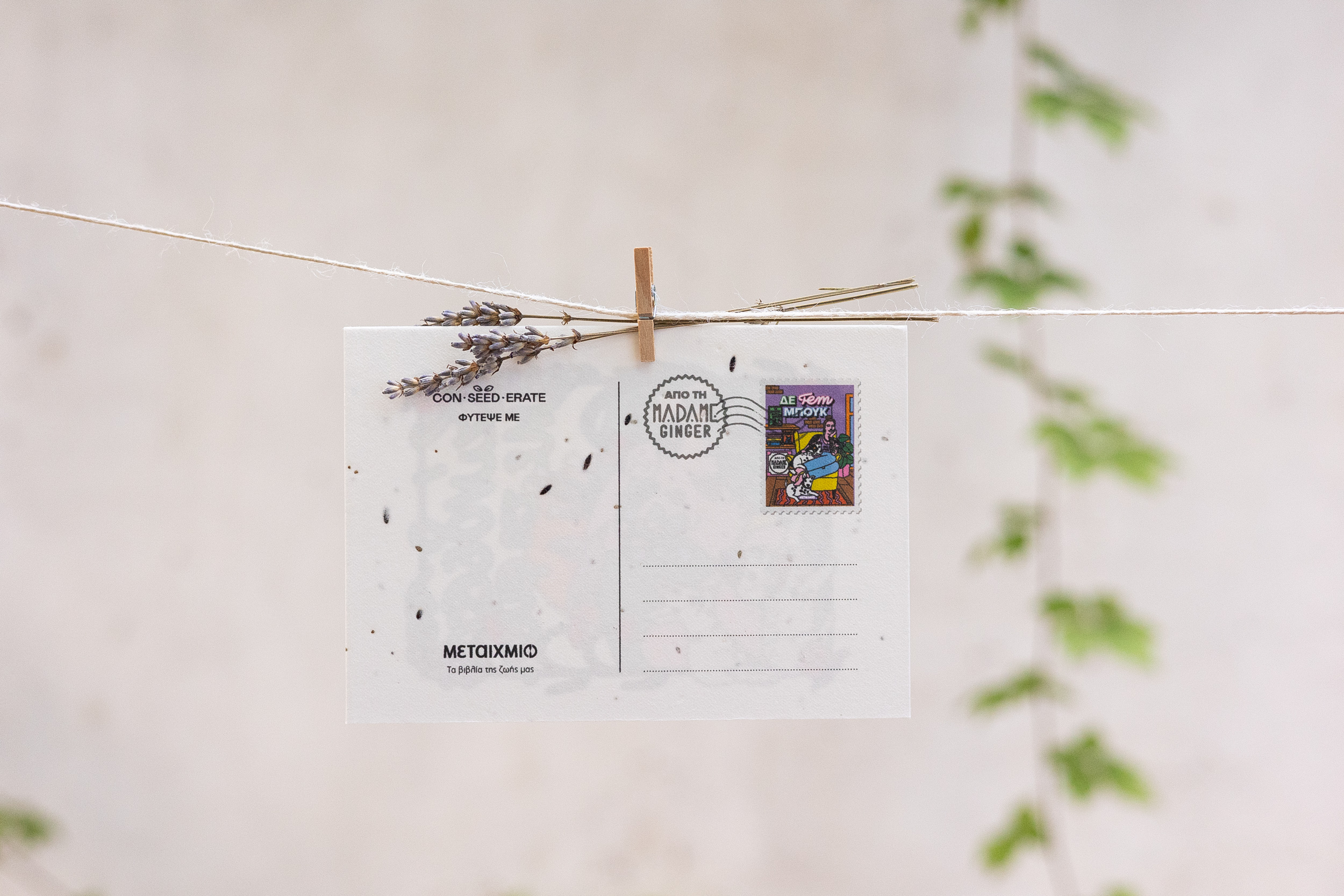 Σετ 12 Card Postal Madame Ginger - Image 12